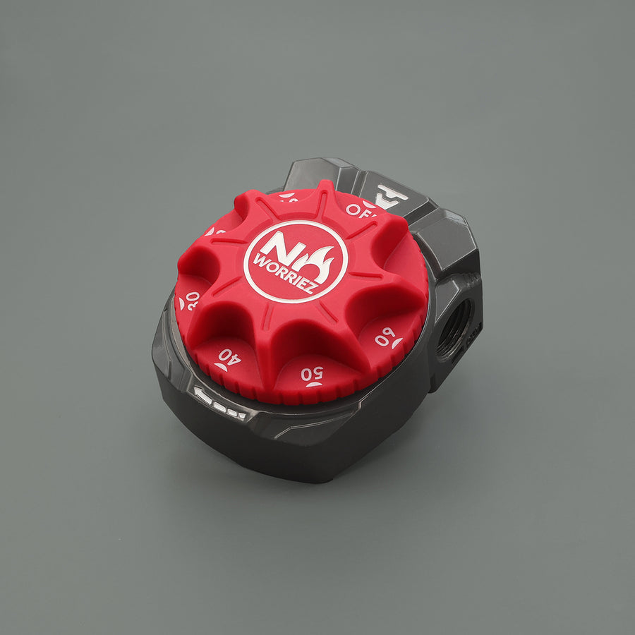 No Worriez gas shut-off timer with 1/2 inch NPT female connections