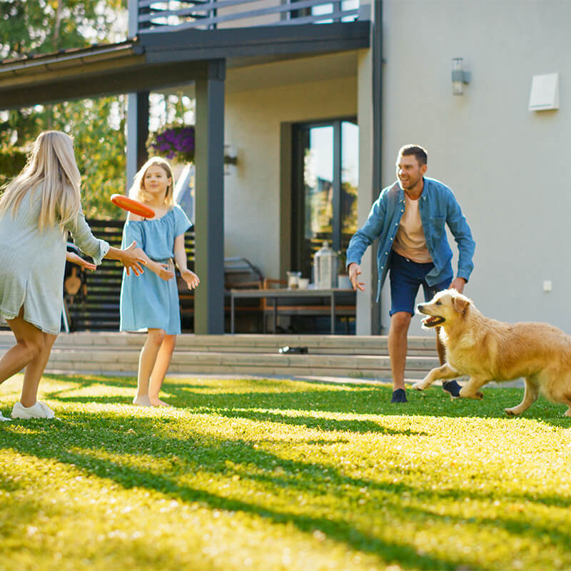 backyard fun image